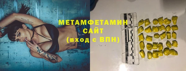 прущие грибы Осташков