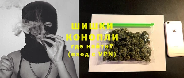 шишки Осинники