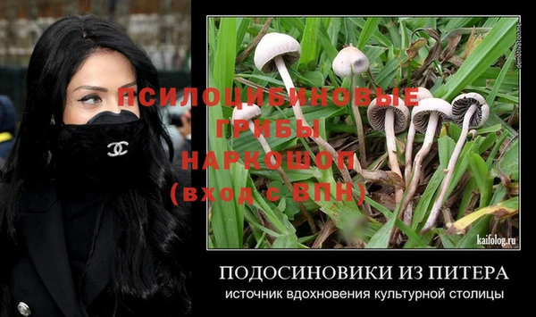 таблы Дмитровск