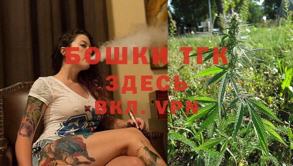 прущие грибы Осташков