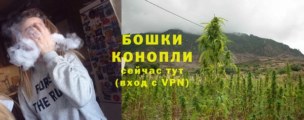 мдпв Губаха