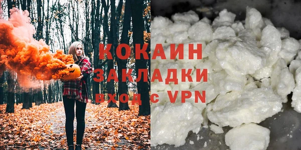 прущие грибы Осташков