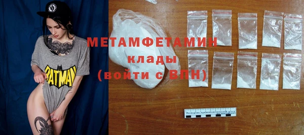 шишки Осинники
