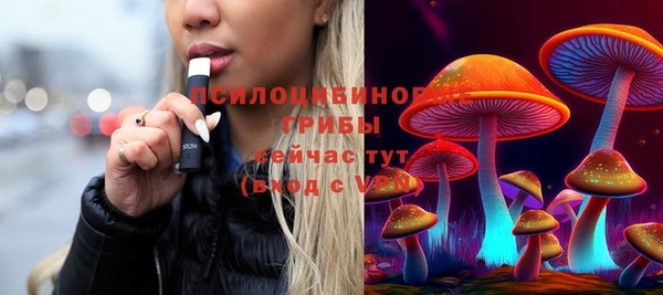 первитин Грязовец