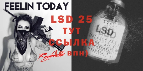 шишки Осинники