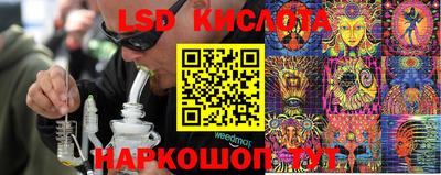 стаф Моздок