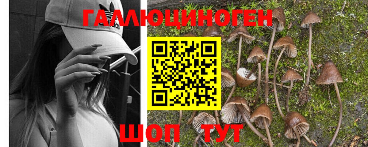 Псилоцибиновые грибы ЛСД Спасск-Дальний