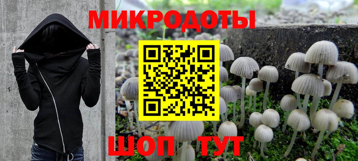 Галлюциногенные грибы мухоморы  Вход с VPN  Спасск-Дальний 