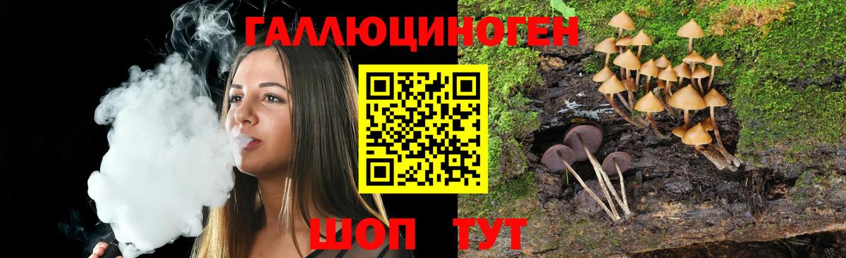 Псилоцибиновые грибы Psilocybine cubensis  закладка  Спасск-Дальний  Галлюциногенные грибы Magic Shrooms 